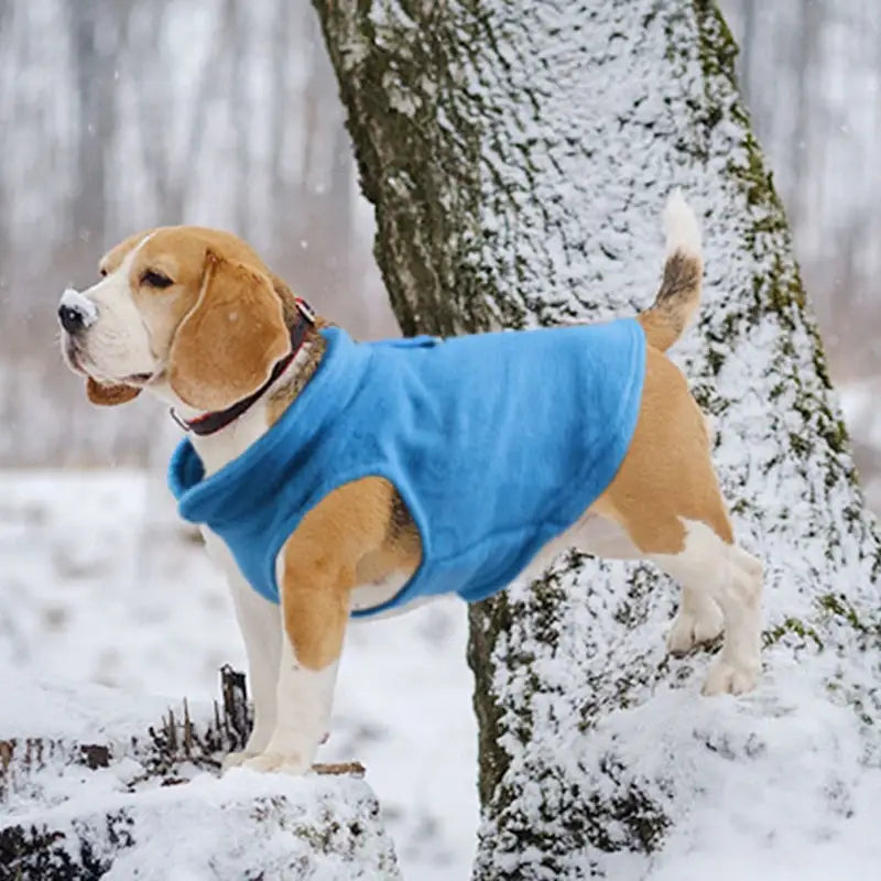 Roupa de Frio para Cachorro com Lã - Mundo Animalito