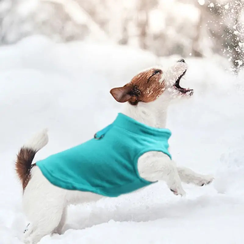 Roupa de Frio para Cachorro com Lã - Mundo Animalito