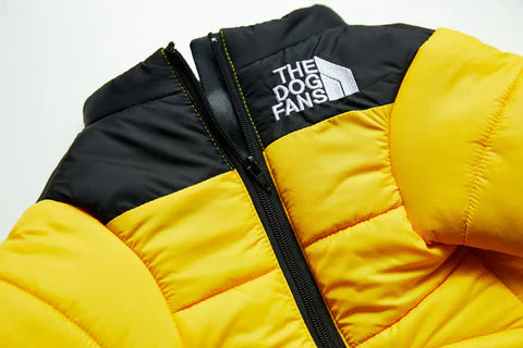 Jaqueta para Cachorro Acolchoada Roupa de Frio — The Dog Fans