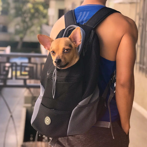 Mochila Canguru para Transportar Cachorros | Mundo Animalito