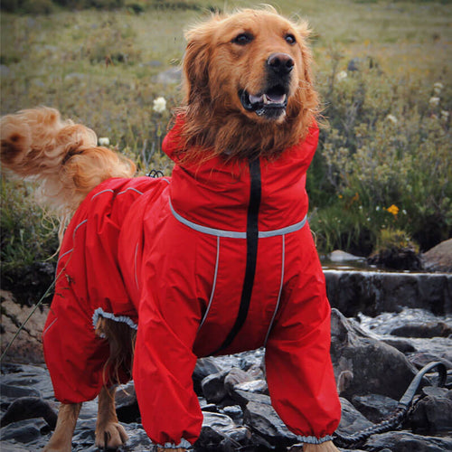 Jaqueta Impermeável Ajustável para Cães de Grande Porte