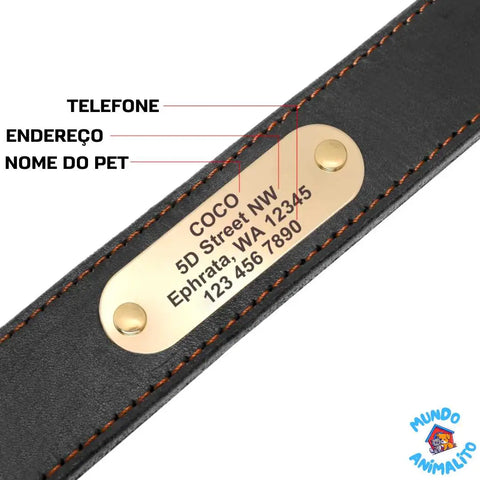 Coleira Personalizada de Couro com Nome Telefone e Endereço para Cachorros