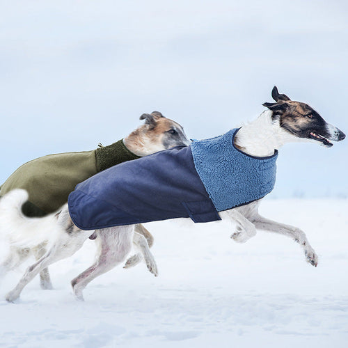Casaco de Inverno Luxuoso Em Lã de Cordeiro para Cães