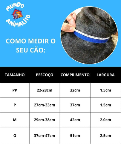 Coleira Personalizada de Couro para Cachorro