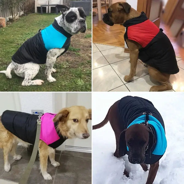 Colete de Inverno Impermeável para Cachorros | Mundo Animalito