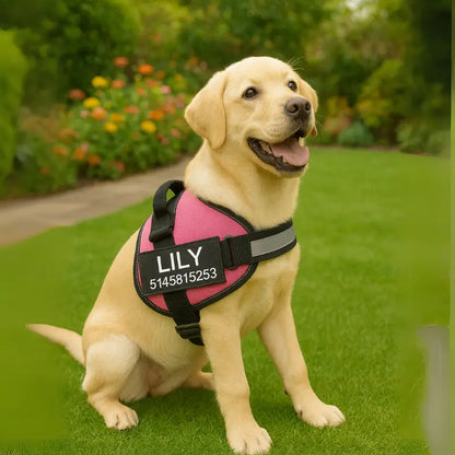 Coleira Peitoral Ajustável, Personalizável com Nome e Número de Telefone - Safe Buddy
