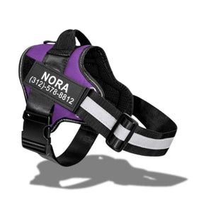 Peitoral Personalizado com Nome e Telefone, Ajustável e Refletivo - Safe Buddy