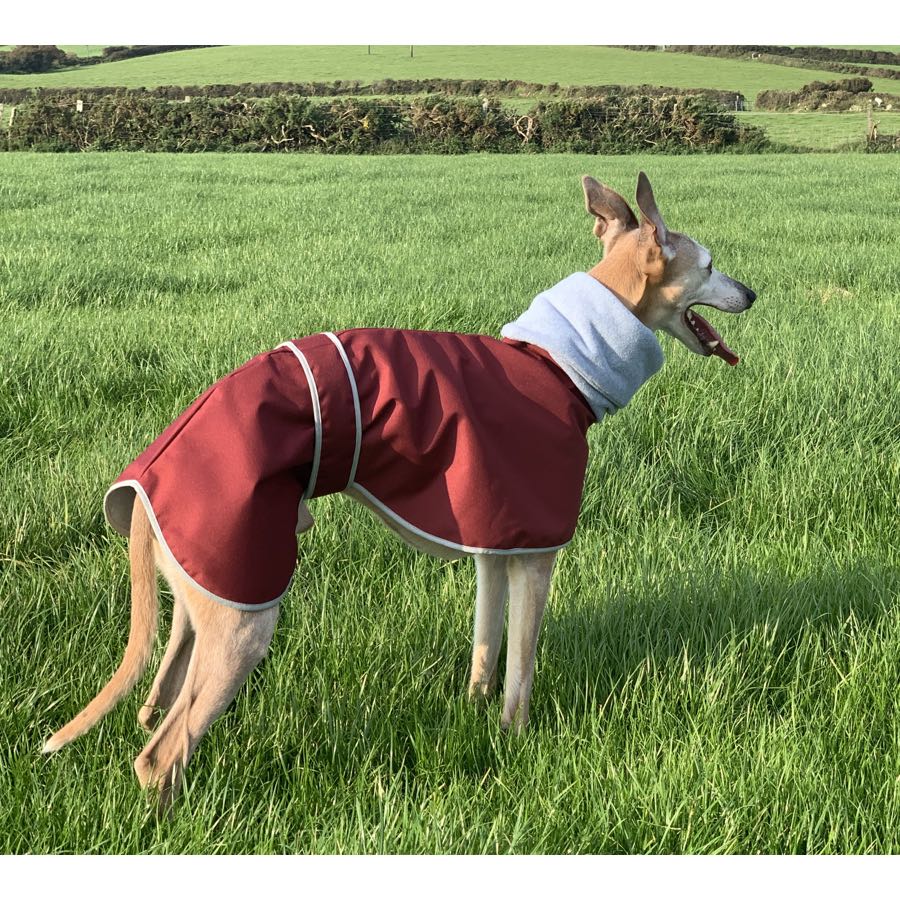 Casaco Impermeável 100% Algodão com Gola Alta para Cachorros Galgos