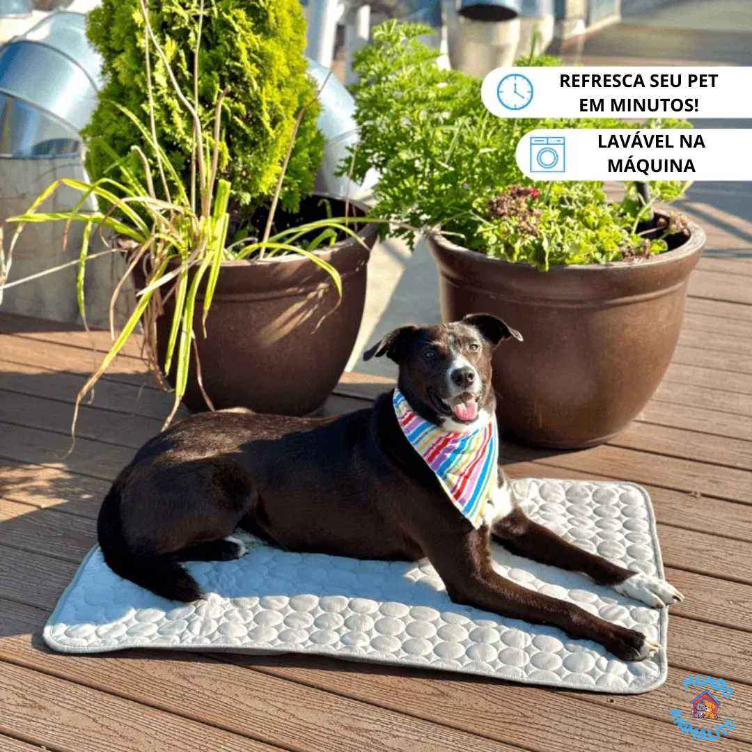 Pet Cold Mat for Dogs and Cats - Refreshing and Comfortable