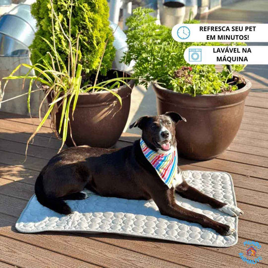 Pet Ice-Cream Mat for Dogs and Cats - Refreshing and Comfortable