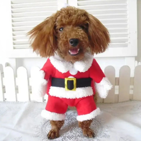 Roupa de Natal para Cachorro - Papai Noel