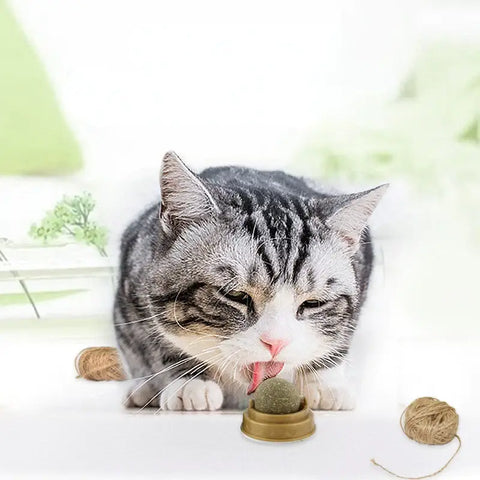 Lambedor Catnip Para Gatos - Melhora na digestão e humor