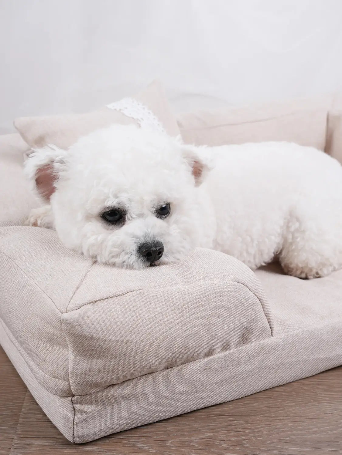 Cama para Cachorros e Gatos Antiderrapante com Zíper e Travesseiro