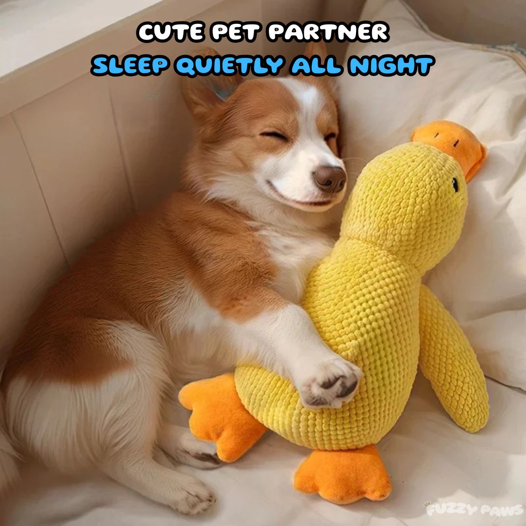 Brinquedo Pato para Cães