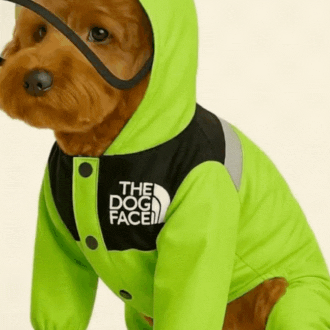 Capa de Chuva Impermeável e com Capuz para Cachorros – The Dog Face