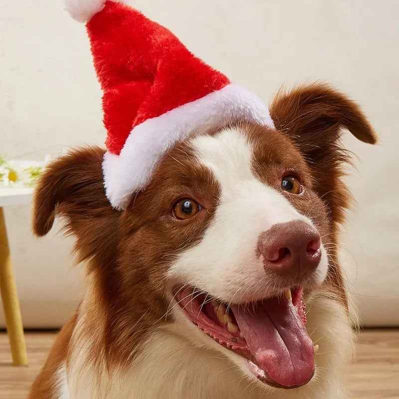 Natal roupas para cães boné de estimação gato cão chapéu de natal de pelúcia chapéu de papai noel feliz natal decorações para pequenos e médios suprimentos para cães