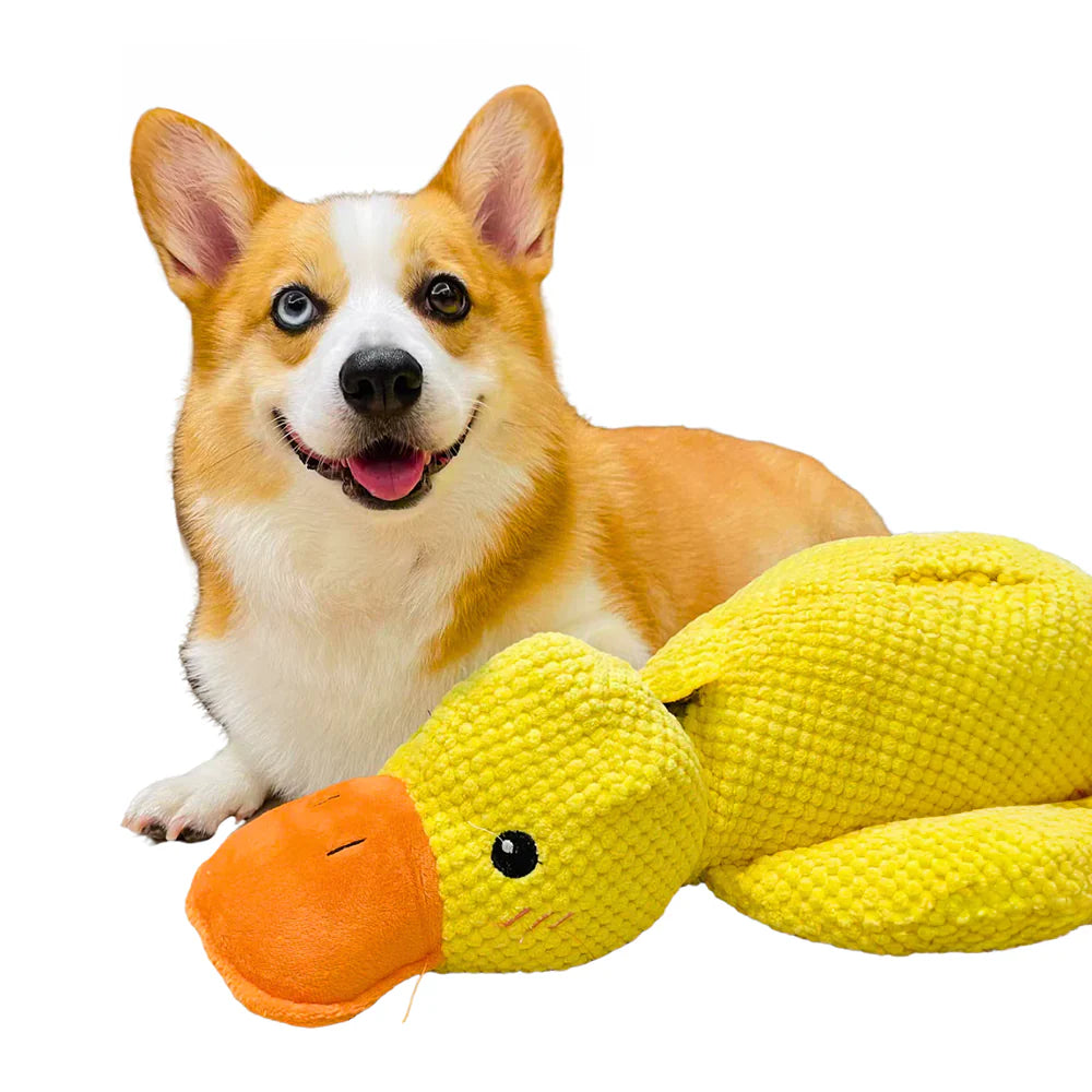 Brinquedo Pato para Cães