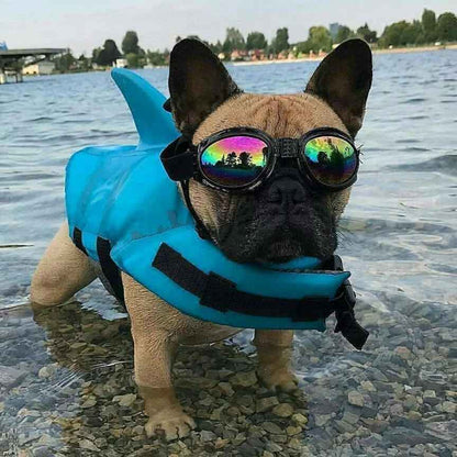 Colete Salva Vidas Cachorro Pet Floater Shark | Mundo Animalito