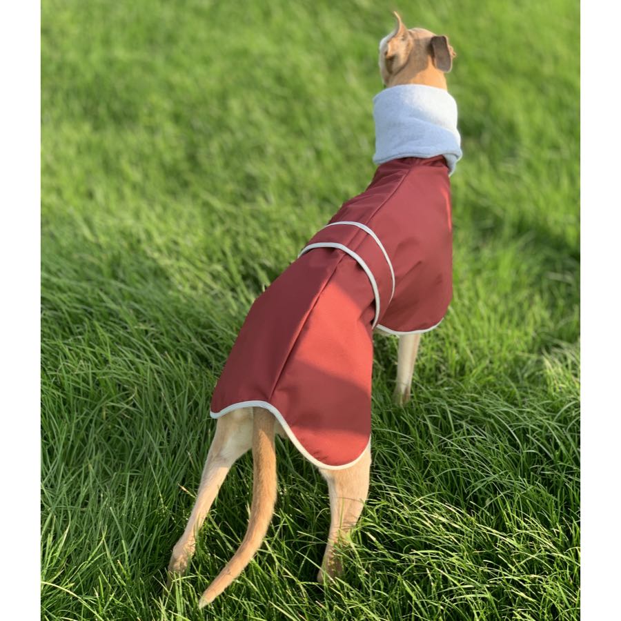Casaco Impermeável 100% Algodão com Gola Alta para Cachorros Galgos