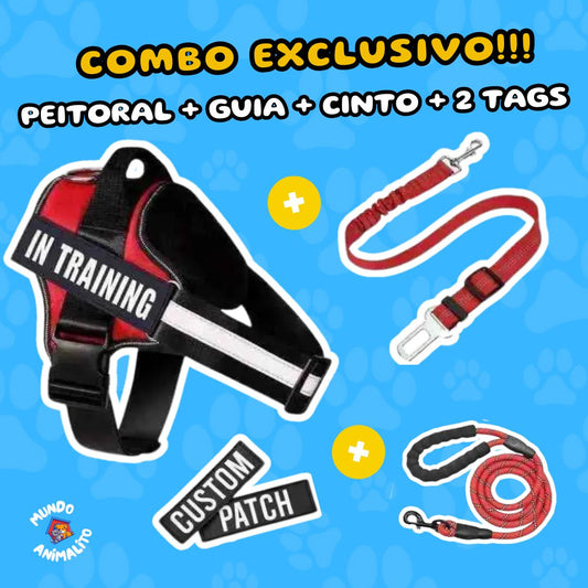 Coleira Peitoral Ajustável, Personalizável com Nome e Número de Telefone + Guia + Cinto de Segurança - Safe Buddy