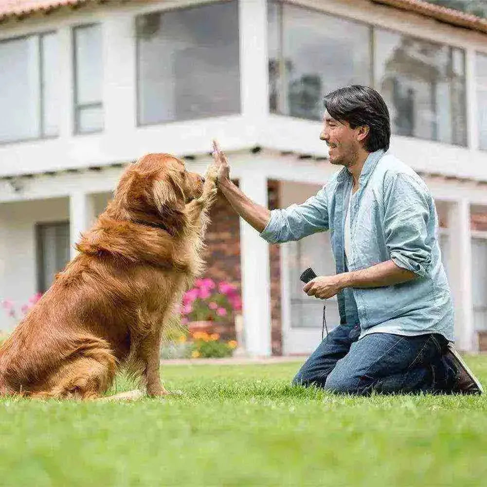 Anti Latido Dispositivo Ultrassônico para Cachorros | Mundo Animalito - Mundo Animalito