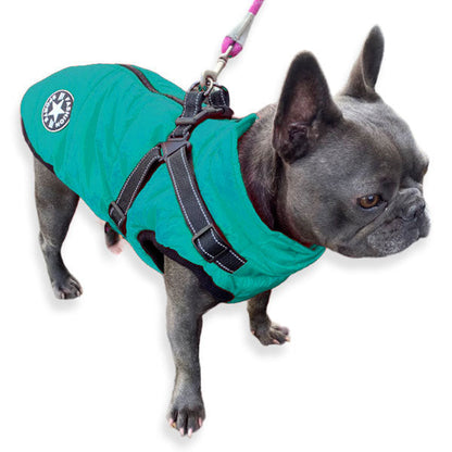 Dog coat with harness aqua blue