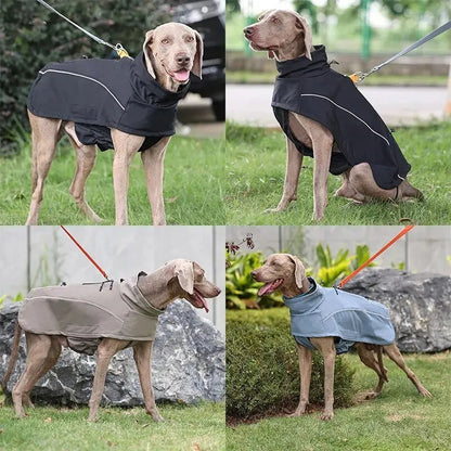 Jaqueta Impermeável com Forro de Lã para Cachorros