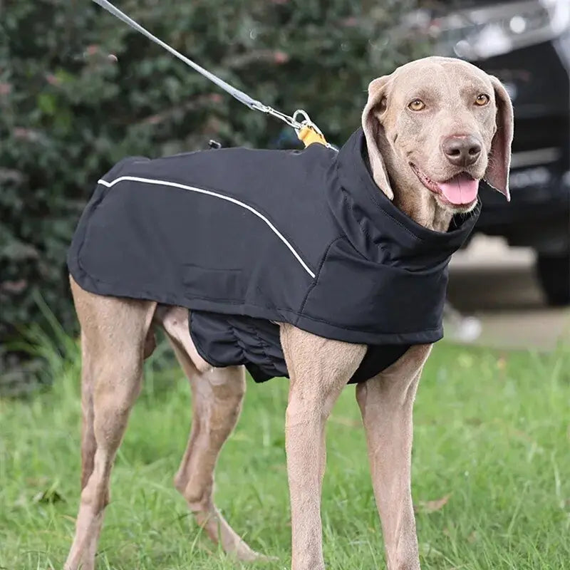 Jaqueta Impermeável com Forro de Lã para Cachorros
