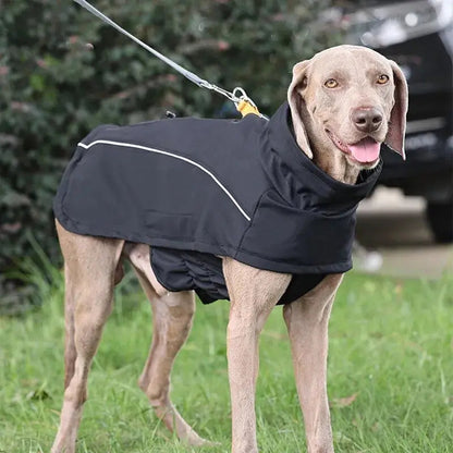 Jaqueta Impermeável com Forro de Lã para Cachorros