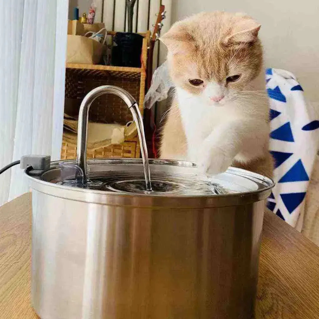 Bebedouro para Gatos Inoxidável de 3,2L - Fonte para Gatos - Mundo Animalito