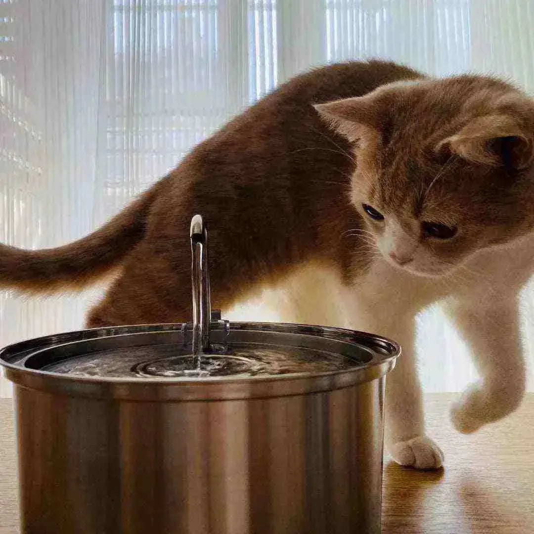 Bebedouro para Gatos Inoxidável de 3,2L - Fonte para Gatos - Mundo Animalito