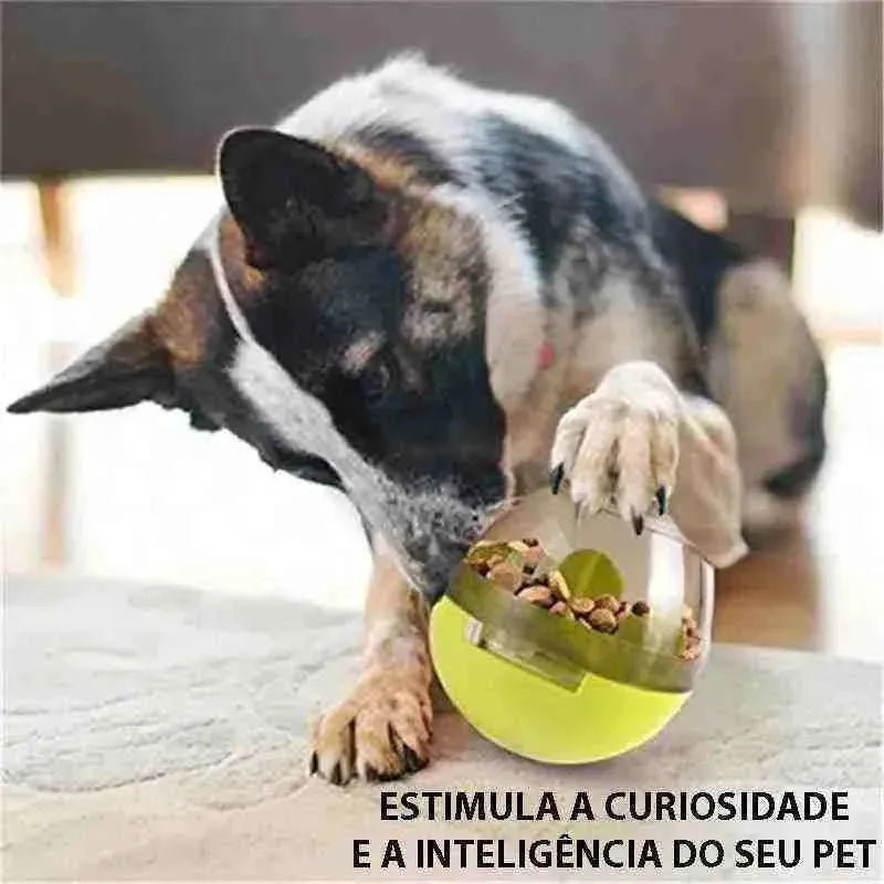 Brinquedo Interativo Ovo Com Petisco Para Cães - Mundo Animalito