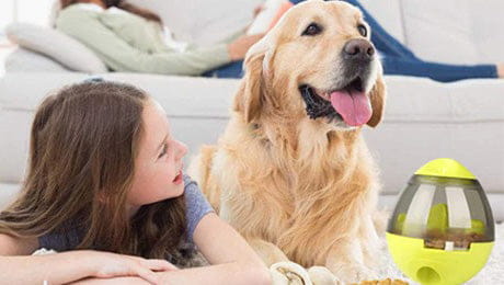 Brinquedo Interativo Ovo Com Petisco Para Cães