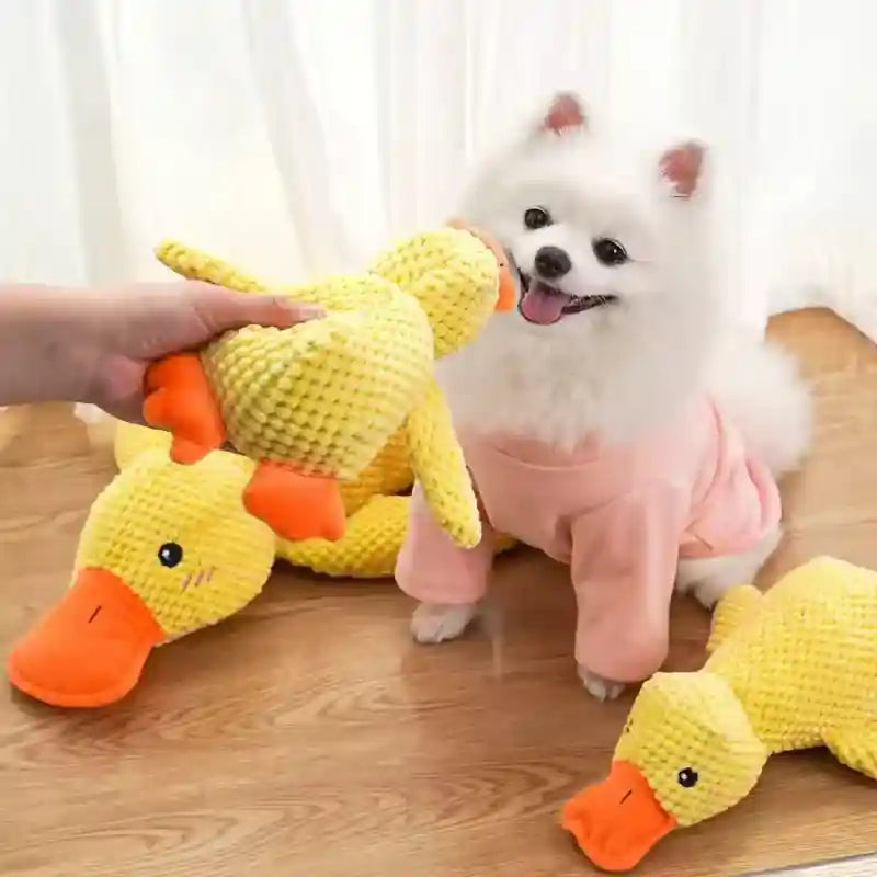 Cachorro branco com roupa rosa brincando com brinquedo de pato amarelo antiestresse para cachorro