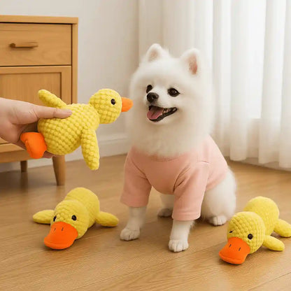 Cachorro branco com brinquedo pato amarelo antiestresse em ambiente interno