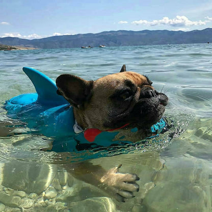 Colete Salva Vidas Cachorro Pet Floater Shark | Mundo Animalito