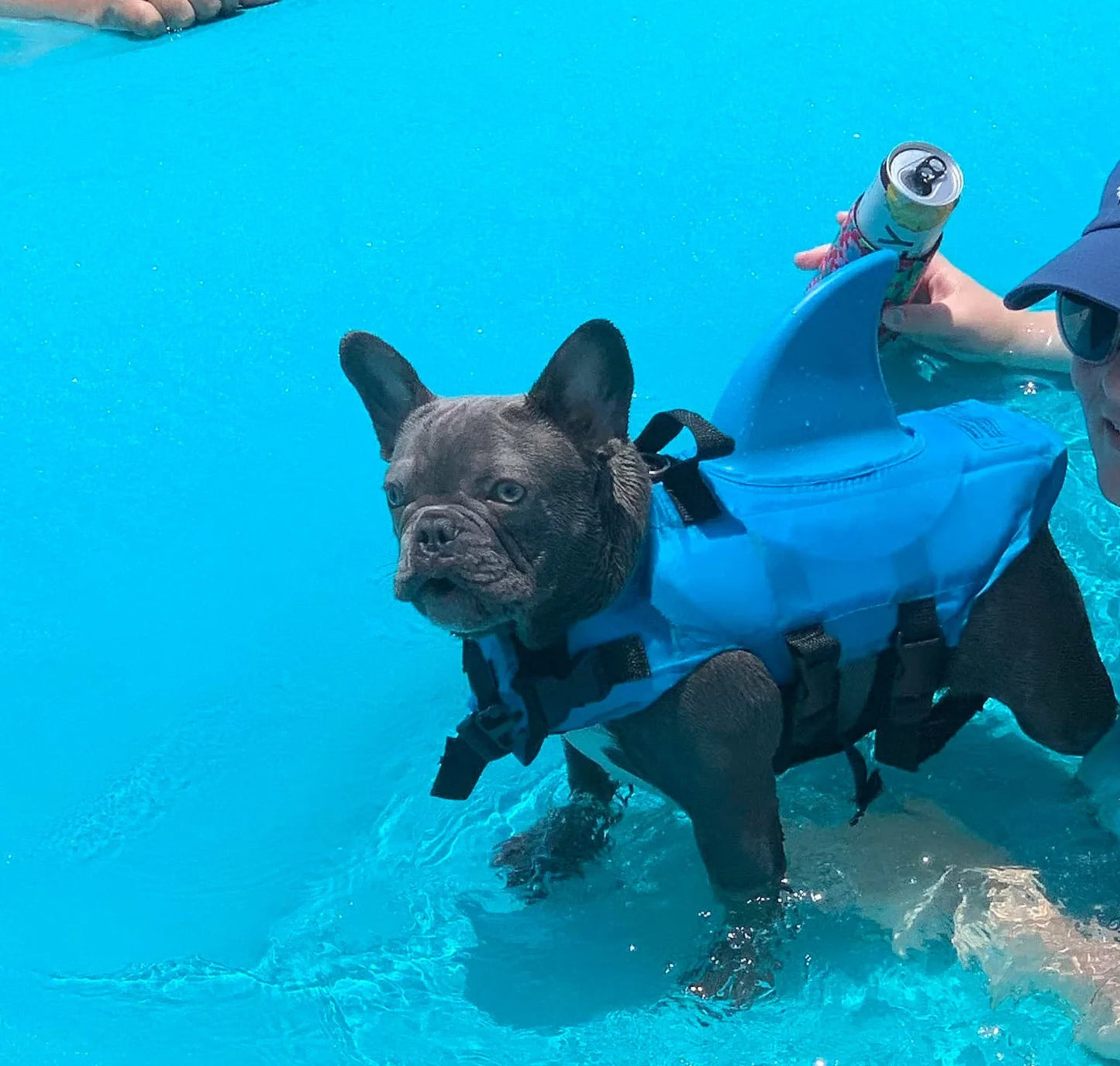 Colete Salva Vidas Cachorro Pet Floater Shark | Mundo Animalito