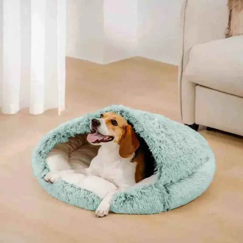 Cachorro em cama cobertor de algodão azul para pets, em sala com sofá e cortina branca.