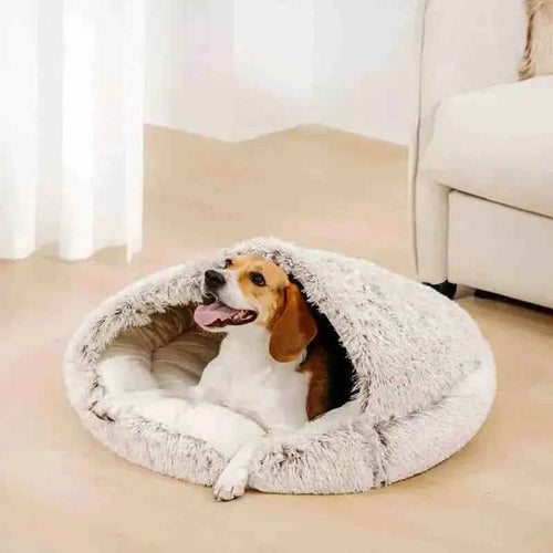 Cachorro em cama de algodão com cobertor cinza para cães e gatos em sala de estar