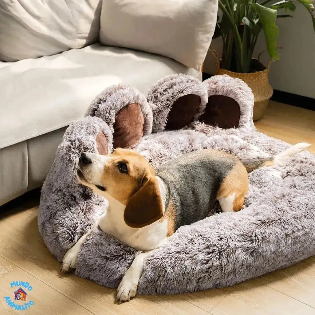 Cama Nuvem com Quatro Patas Sem Zíper no Assento Lavável para Pets