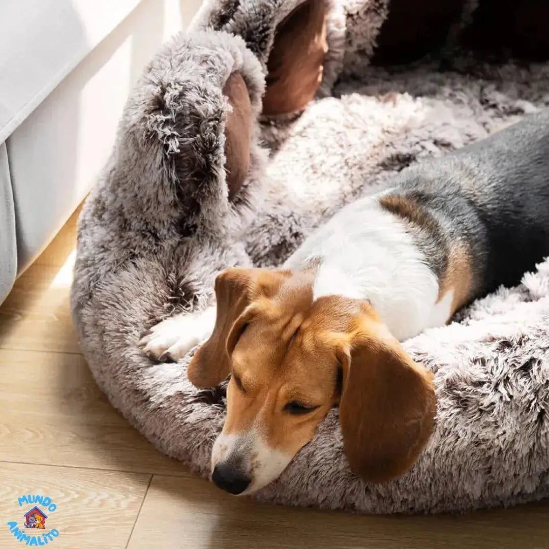 Cama Nuvem com Quatro Patas Sem Zíper no Assento Lavável para Pets