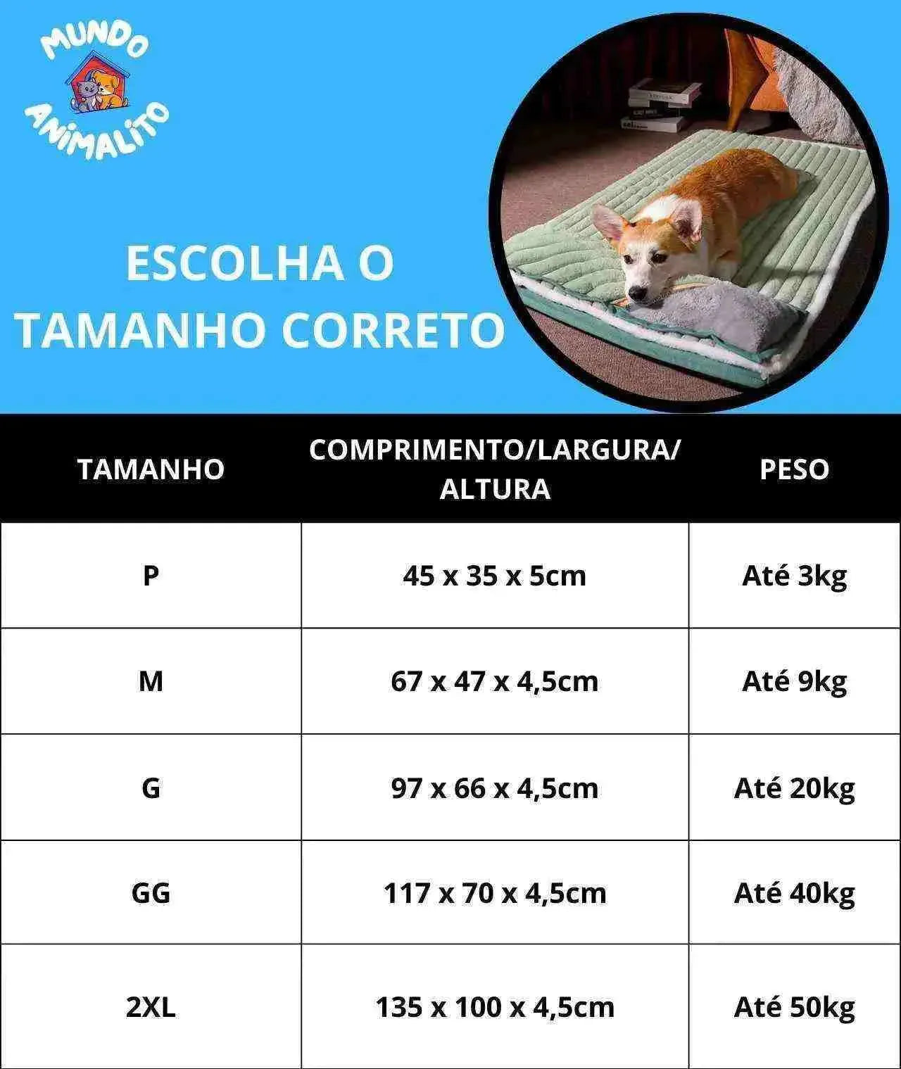 Cama para Pets Lavável Com Zíper e Travesseiro Removível - Mundo Animalito