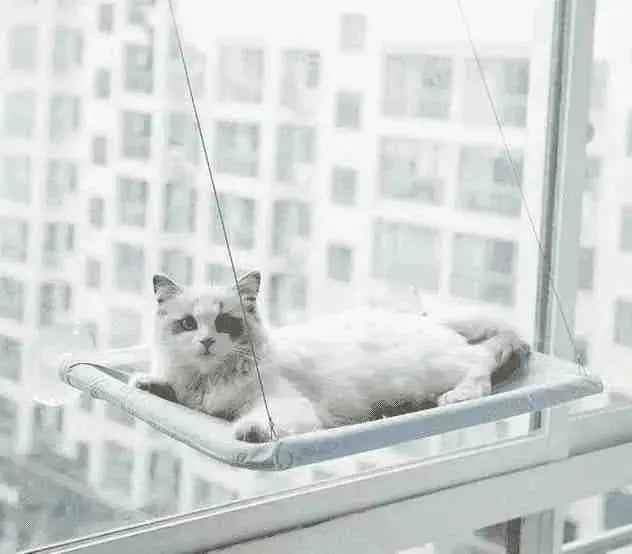 Cama Suspensa para Gatos Até 20Kg | Mundo Animalito - Mundo Animalito