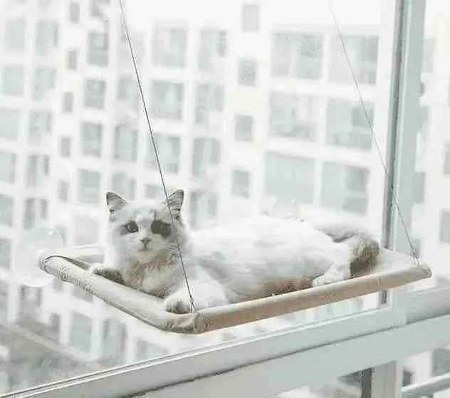Cama Suspensa para Gatos Até 20Kg | Mundo Animalito - Mundo Animalito