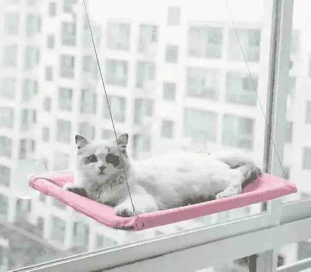 Cama Suspensa para Gatos Até 20Kg | Mundo Animalito - Mundo Animalito
