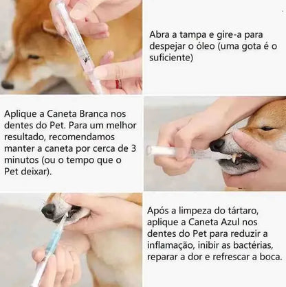 Caneta para Escovar Dente de Cachorro - Limpeza de Tártaro - Mundo Animalito