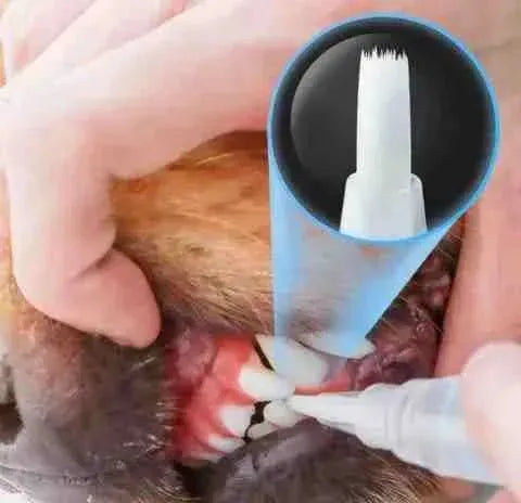 Caneta para Escovar Dente de Cachorro - Limpeza de Tártaro - Mundo Animalito