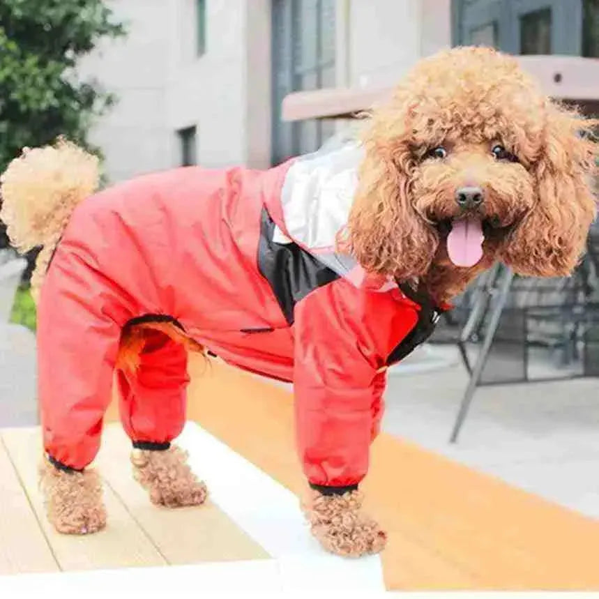 Capa de Chuva Impermeável para Cachorros - The Dog Face - Mundo Animalito