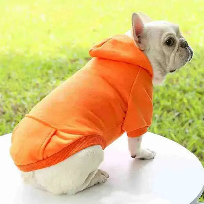 Roupa de Frio para Cachorro | Casaco para Cachorro - Mundo Animalito