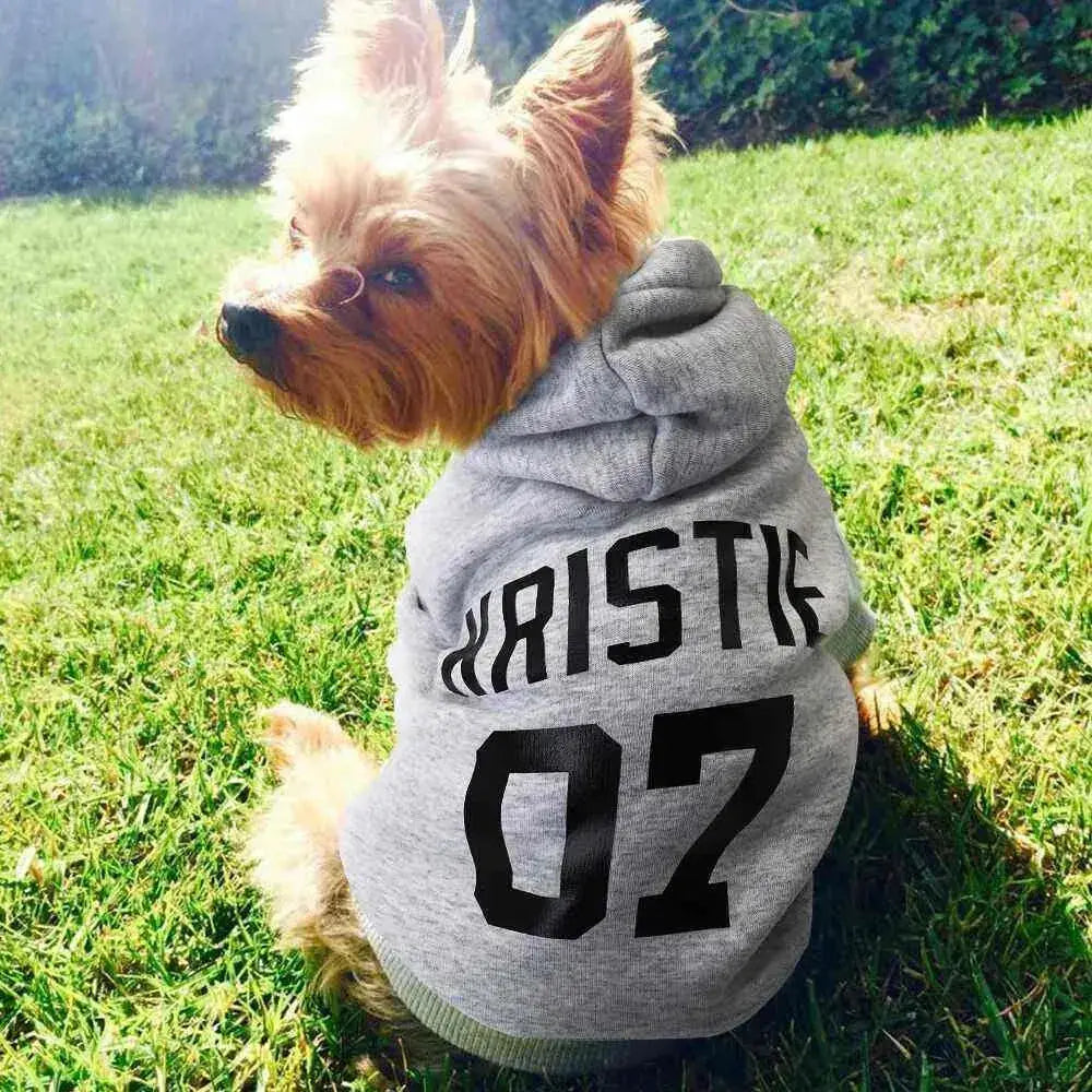 Casaco de Inverno Personalizado Com Nome E Número para Pets